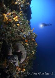 What Diversity - The Adriatic is definitely not dead. EOS... by Jim Garland 